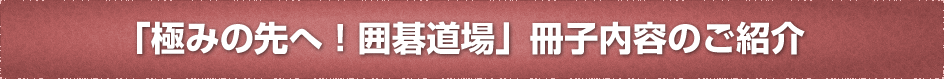             <p align="center" style="padding-bottom:10px"><img src="img/cap_02.jpg" width="960" height="84" alt="SU̎^êЉ" /></p>