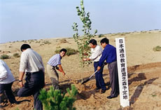 先遣隊植林の様子